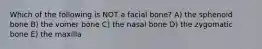 Which of the following is NOT a facial bone? A) the sphenoid bone B) the vomer bone C) the nasal bone D) the zygomatic bone E) the maxilla