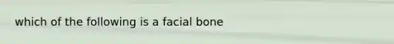 which of the following is a facial bone