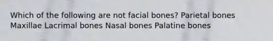 Which of the following are not facial bones? Parietal bones Maxillae Lacrimal bones Nasal bones Palatine bones