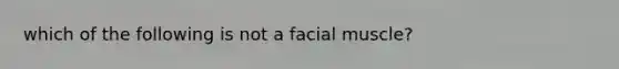 which of the following is not a facial muscle?