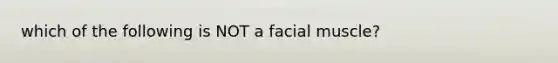 which of the following is NOT a facial muscle?