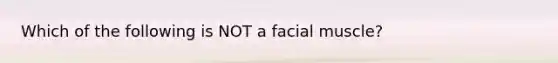 Which of the following is NOT a facial muscle?