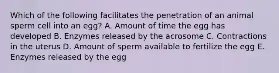 Which of the following facilitates the penetration of an animal sperm cell into an egg? A. Amount of time the egg has developed B. Enzymes released by the acrosome C. Contractions in the uterus D. Amount of sperm available to fertilize the egg E. Enzymes released by the egg