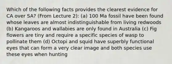 Which of the following facts provides the clearest evidence for CA over SA? (From Lecture 2): (a) 100 Ma fossil have been found whose leaves are almost indistinguishable from living redwoods (b) Kangaroos and wallabies are only found in Australia (c) Fig flowers are tiny and require a specific species of wasp to pollinate them (d) Octopi and squid have superbly functional eyes that can form a very clear image and both species use these eyes when hunting