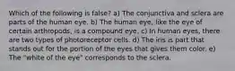 Which of the following is false? a) The conjunctiva and sclera are parts of the human eye. b) The human eye, like the eye of certain arthropods, is a compound eye. c) In human eyes, there are two types of photoreceptor cells. d) The iris is part that stands out for the portion of the eyes that gives them color. e) The "white of the eye" corresponds to the sclera.