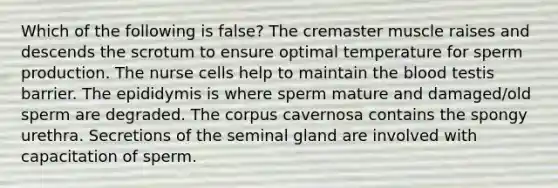 Which of the following is false? The cremaster muscle raises and descends the scrotum to ensure optimal temperature for sperm production. The nurse cells help to maintain the blood testis barrier. The epididymis is where sperm mature and damaged/old sperm are degraded. The corpus cavernosa contains the spongy urethra. Secretions of the seminal gland are involved with capacitation of sperm.