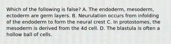 Which of the following is false? A. The endoderm, mesoderm, ectoderm are germ layers. B. Neurulation occurs from infolding of the endoderm to form the neural crest C. In protostomes, the mesoderm is derived from the 4d cell. D. The blastula is often a hollow ball of cells.