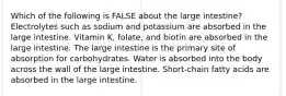 Which of the following is FALSE about the large intestine? Electrolytes such as sodium and potassium are absorbed in the large intestine. Vitamin K, folate, and biotin are absorbed in the large intestine. The large intestine is the primary site of absorption for carbohydrates. Water is absorbed into the body across the wall of the large intestine. Short-chain fatty acids are absorbed in the large intestine.