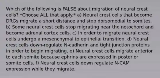 Which of the following is FALSE about migration of neural crest cells? *Choose ALL that apply.* a) Neural crest cells that become DRGs migrate a short distance and stop dorsomedial to somites. b) Some neural crest cells stop migrating near the notochord and become adrenal cortex cells. c) In order to migrate neural crest cells undergo a mesenchymal to epithelial transition. d) Neural crest cells down-regulate N-cadherin and tight junction proteins in order to begin migrating. e) Neural crest cells migrate anterior to each somite because ephrins are expressed in posterior somite cells. f) Neural crest cells down regulate N-CAM expression while they migrate.