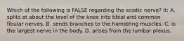 Which of the following is FALSE regarding the sciatic nerve? It: A. splits at about the level of the knee into tibial and common fibular nerves. B. sends branches to the hamstring muscles. C. is the largest nerve in the body. D. arises from the lumbar plexus.