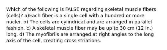 Which of the following is FALSE regarding skeletal muscle fibers (cells)? a)Each fiber is a single cell with a hundred or more nuclei. b) The cells are cylindrical and are arranged in parallel fashion. c) A skeletal muscle fiber may be up to 30 cm (12 in.) long. d) The myofibrils are arranged at right angles to the long axis of the cell, creating cross striations.