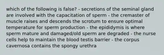 which of the following is false? - secretions of the seminal gland are involved with the capacitation of sperm - the cremaster of muscle raises and descends the scrotum to ensure optimal temperature for sperm production - the epididymis is where sperm mature and damaged/old sperm are degraded - the nurse cells help to maintain the blood testis barrier - the corpus cavernosa contains the spongy urethra