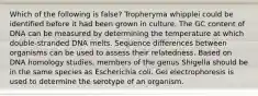 Which of the following is false? Tropheryma whipplei could be identified before it had been grown in culture. The GC content of DNA can be measured by determining the temperature at which double-stranded DNA melts. Sequence differences between organisms can be used to assess their relatedness. Based on DNA homology studies, members of the genus Shigella should be in the same species as Escherichia coli. Gel electrophoresis is used to determine the serotype of an organism.