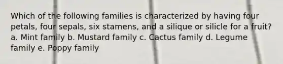 Which of the following families is characterized by having four petals, four sepals, six stamens, and a silique or silicle for a fruit? a. Mint family b. Mustard family c. Cactus family d. Legume family e. Poppy family