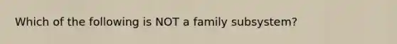 Which of the following is NOT a family subsystem?