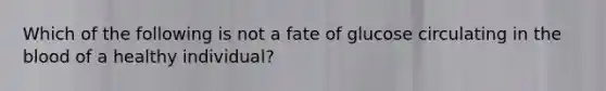 Which of the following is not a fate of glucose circulating in the blood of a healthy individual?