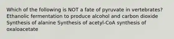 Which of the following is NOT a fate of pyruvate in vertebrates? Ethanolic fermentation to produce alcohol and carbon dioxide Synthesis of alanine Synthesis of acetyl-CoA synthesis of oxaloacetate