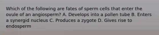 Which of the following are fates of sperm cells that enter the ovule of an angiosperm? A. Develops into a pollen tube B. Enters a synergid nucleus C. Produces a zygote D. Gives rise to endosperm