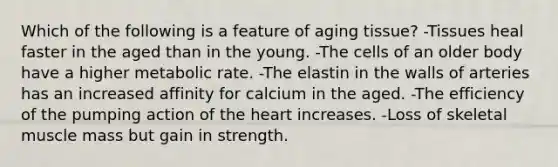 Which of the following is a feature of aging tissue? -Tissues heal faster in the aged than in the young. -The cells of an older body have a higher metabolic rate. -The elastin in the walls of arteries has an increased affinity for calcium in the aged. -The efficiency of the pumping action of the heart increases. -Loss of skeletal muscle mass but gain in strength.