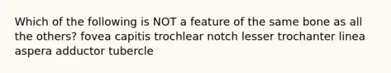 Which of the following is NOT a feature of the same bone as all the others? fovea capitis trochlear notch lesser trochanter linea aspera adductor tubercle