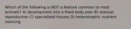 Which of the following is NOT a feature common to most animals? A) development into a fixed body plan B) asexual reproduction C) specialized tissues D) heterotrophic nutrient sourcing