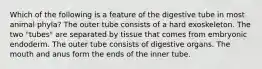 Which of the following is a feature of the digestive tube in most animal phyla? The outer tube consists of a hard exoskeleton. The two "tubes" are separated by tissue that comes from embryonic endoderm. The outer tube consists of digestive organs. The mouth and anus form the ends of the inner tube.