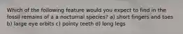 Which of the following feature would you expect to find in the fossil remains of a a nocturnal species? a) short fingers and toes b) large eye orbits c) pointy teeth d) long legs