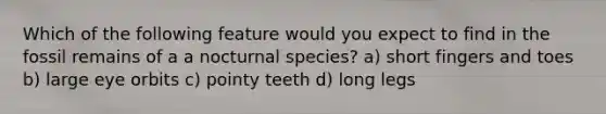 Which of the following feature would you expect to find in the fossil remains of a a nocturnal species? a) short fingers and toes b) large eye orbits c) pointy teeth d) long legs