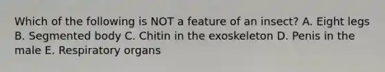 Which of the following is NOT a feature of an insect? A. Eight legs B. Segmented body C. Chitin in the exoskeleton D. Penis in the male E. Respiratory organs