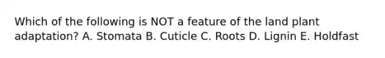 Which of the following is NOT a feature of the land plant adaptation? A. Stomata B. Cuticle C. Roots D. Lignin E. Holdfast