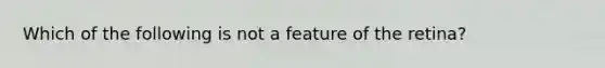 Which of the following is not a feature of the retina?