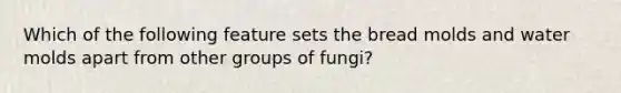 Which of the following feature sets the bread molds and water molds apart from other groups of fungi?