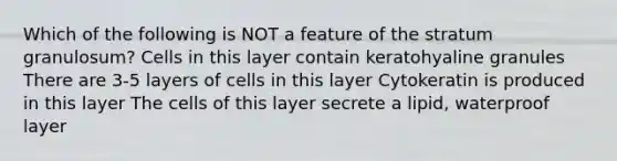 Which of the following is NOT a feature of the stratum granulosum? Cells in this layer contain keratohyaline granules There are 3-5 layers of cells in this layer Cytokeratin is produced in this layer The cells of this layer secrete a lipid, waterproof layer