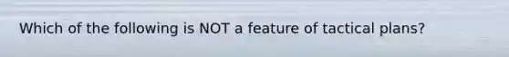 Which of the following is NOT a feature of tactical plans?