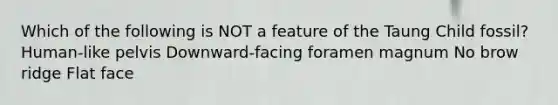 Which of the following is NOT a feature of the Taung Child fossil? Human-like pelvis Downward-facing foramen magnum No brow ridge Flat face