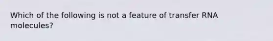 Which of the following is not a feature of transfer RNA molecules?