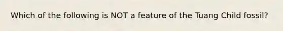 Which of the following is NOT a feature of the Tuang Child fossil?