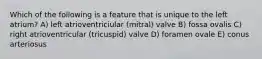 Which of the following is a feature that is unique to the left atrium? A) left atrioventriciular (mitral) valve B) fossa ovalis C) right atrioventricular (tricuspid) valve D) foramen ovale E) conus arteriosus