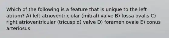 Which of the following is a feature that is unique to the left atrium? A) left atrioventriciular (mitral) valve B) fossa ovalis C) right atrioventricular (tricuspid) valve D) foramen ovale E) conus arteriosus