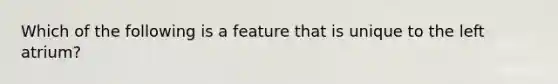 Which of the following is a feature that is unique to the left atrium?