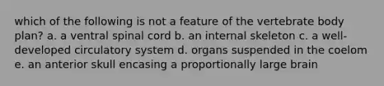 which of the following is not a feature of the vertebrate body plan? a. a ventral spinal cord b. an internal skeleton c. a well-developed circulatory system d. organs suspended in the coelom e. an anterior skull encasing a proportionally large brain