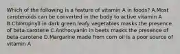 Which of the following is a feature of vitamin A in foods? A.Most carotenoids can be converted in the body to active vitamin A B.Chlorophyll in dark green leafy vegetables masks the presence of beta-carotene C.Anthocyanin in beets masks the presence of beta-carotene D.Margarine made from corn oil is a poor source of vitamin A