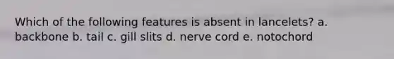 Which of the following features is absent in lancelets? a. backbone b. tail c. gill slits d. nerve cord e. notochord