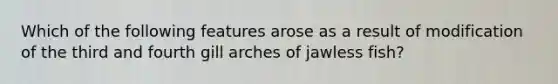 Which of the following features arose as a result of modification of the third and fourth gill arches of jawless fish?