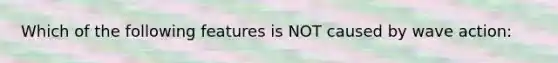 Which of the following features is NOT caused by wave action: