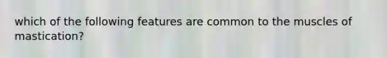 which of the following features are common to the muscles of mastication?