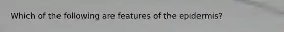 Which of the following are features of the epidermis?