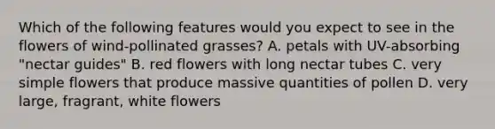 Which of the following features would you expect to see in the flowers of wind-pollinated grasses? A. petals with UV-absorbing "nectar guides" B. red flowers with long nectar tubes C. very simple flowers that produce massive quantities of pollen D. very large, fragrant, white flowers