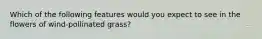 Which of the following features would you expect to see in the flowers of wind-pollinated grass?