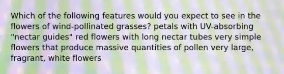 Which of the following features would you expect to see in the flowers of wind-pollinated grasses? petals with UV-absorbing "nectar guides" red flowers with long nectar tubes very simple flowers that produce massive quantities of pollen very large, fragrant, white flowers